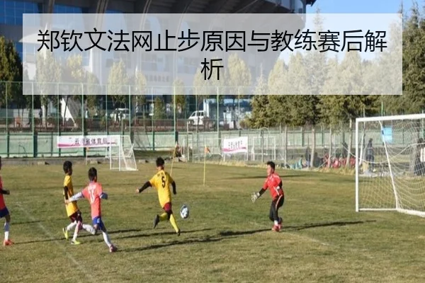 郑钦文法网止步原因与教练赛后解析